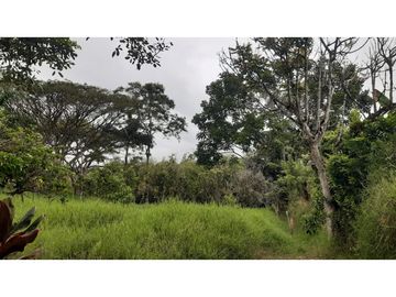 SE VENDE FINCA  EN EL QUINDIO A 15 MINUTOS DE QUIMBAYA