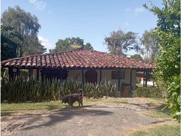 SE VENDE FINCA  EN EL QUINDIO A 15 MINUTOS DE QUIMBAYA