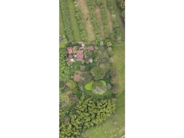 SE VENDE FINCA  EN EL QUINDIO A 15 MINUTOS DE QUIMBAYA