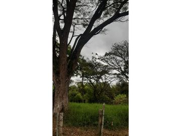 SE VENDE FINCA  EN EL QUINDIO A 15 MINUTOS DE QUIMBAYA