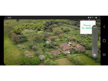 SE VENDE FINCA  EN EL QUINDIO A 15 MINUTOS DE QUIMBAYA