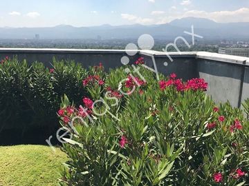 Venta Departamento City Towers Park Grand, com balcon.