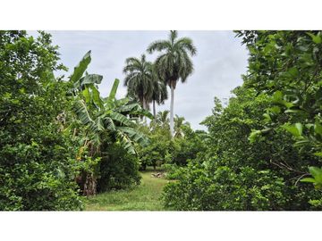 Lote Urbano en Ricaurte – Gran Potencial Residencial y Comercial