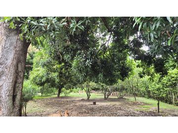Lote Urbano en Ricaurte – Gran Potencial Residencial y Comercial