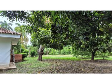 Lote Urbano en Ricaurte – Gran Potencial Residencial y Comercial