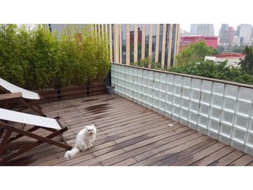 Vendo Penthouse de 3 niveles en colonia Roma, Ciudad de México