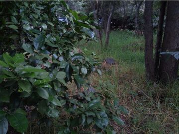 Terreno en Venta en fraccionamiento ecológico con Casa Club