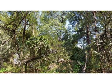 Terreno en Venta en fraccionamiento ecológico con Casa Club