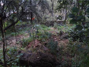Terreno en Venta en fraccionamiento ecológico con Casa Club