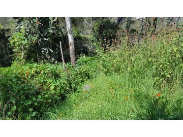 Terreno en Venta en fraccionamiento ecológico con Casa Club