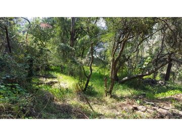 Terreno en Venta en fraccionamiento ecológico con Casa Club