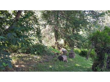 Terreno en Venta en fraccionamiento ecológico con Casa Club