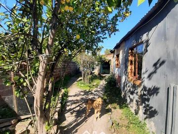 Sitio en Venta en Luis Barros Borgoño