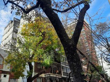 4 Amb Comedor Diario Muy Luminoso Venta Palermo
