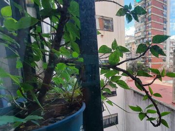4 Amb Comedor Diario Muy Luminoso Venta Palermo