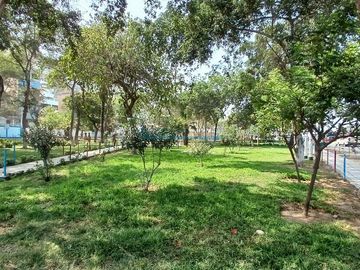 Locales Comerciales Venta AV. Gran Chimu - SAN JUAN DE LURIGANCHO