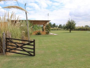 SALÓN DE EVENTOS 