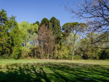 VENTA QUINTA 17.000 MTRS,PARA LOTEO MORENO