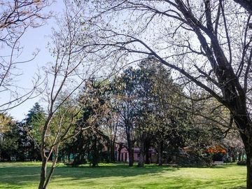 VENTA QUINTA 17.000 MTRS,PARA LOTEO MORENO