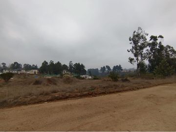Terreno de 20.000 M2, Algarrobo