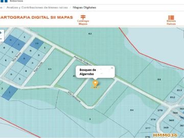 Terreno de 20.000 M2, Algarrobo