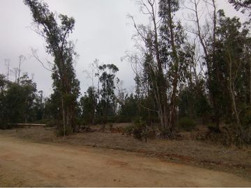 Terreno de 20.000 M2, Algarrobo