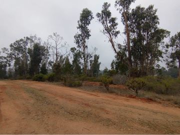 Terreno de 20.000 M2, Algarrobo