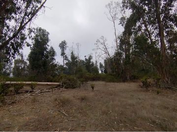 Terreno de 20.000 M2, Algarrobo