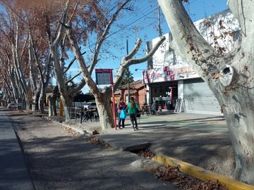 LOCAL COMERCIAL VENTA CALLE SAN MARTIN-INVERSION