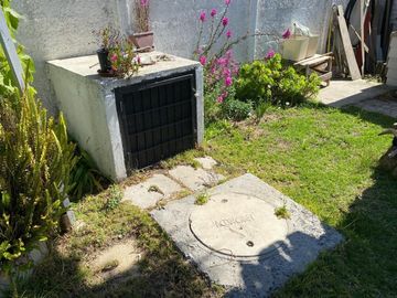 SENDERO DE FLORES