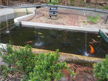 Gran finca en Bonda: 6,7 Has con lago, quebrada y piscina G-18