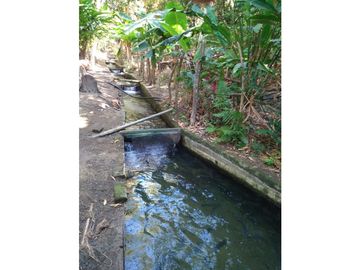 Gran finca en Bonda: 6,7 Has con lago, quebrada y piscina G-18
