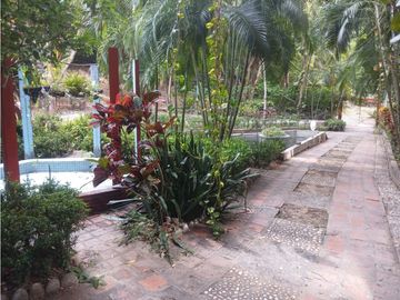 Gran finca en Bonda: 6,7 Has con lago, quebrada y piscina G-18