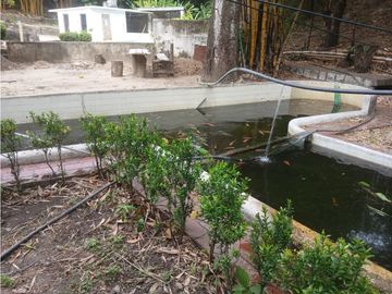 Gran finca en Bonda: 6,7 Has con lago, quebrada y piscina G-18