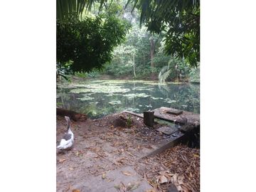 Gran finca en Bonda: 6,7 Has con lago, quebrada y piscina G-18