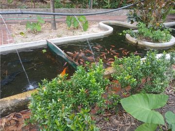 Gran finca en Bonda: 6,7 Has con lago, quebrada y piscina G-18