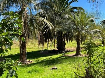 Venta Oportunidad Quinta - Terreno 18.300m2  Yaruqui - Pichincha
