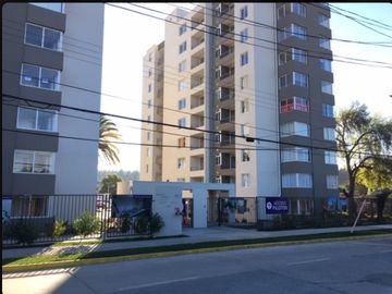 DEPTO EN VILLA ALEMANA, SIN CONTRIBUCIONES 1D, TERRAZA