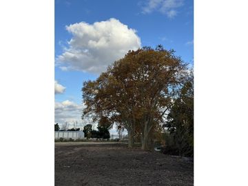 Lote Industrial 5000 m2 en cuotas
