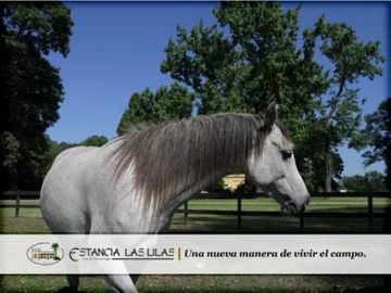 Oferta de Venta Lote en Estancia Las Lilas Lujan