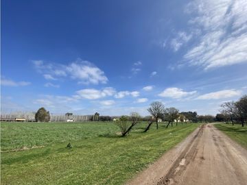 Oferta de Venta Lote en Estancia Las Lilas Lujan