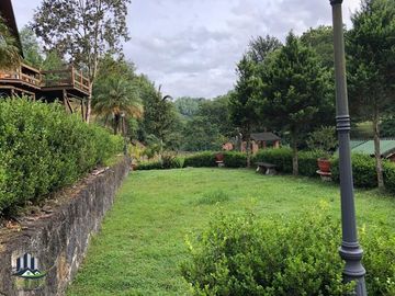 Venta de Cabaña con 1,500 m2 de Terreno, Camino Coapexpan Xalapa