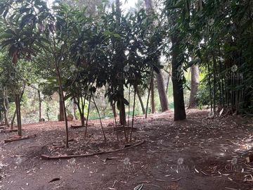 VENTA CASA EN EL BOSQUE CON SEGURIDAD EN CUERNAVACA - V370