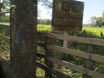 Se vende Rancho de pastizales y ganado en Chiapas