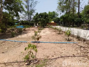 2 Bedroom House for sale in Pa Tum, Chiang Mai