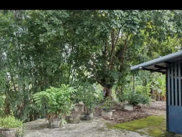 2 Bedroom House for sale in Pa Tum, Chiang Mai