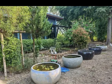 2 Bedroom House for sale in Pa Tum, Chiang Mai