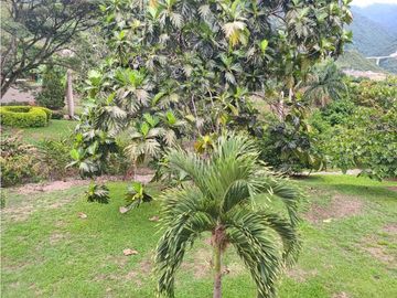 VENTA FINCA TITIRIBI,SUROESTE ANTIOQUEÑO