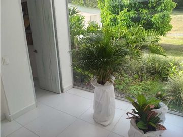 VENTA FINCA ,SIRIA SUROESTE ANTIOQUEÑO
