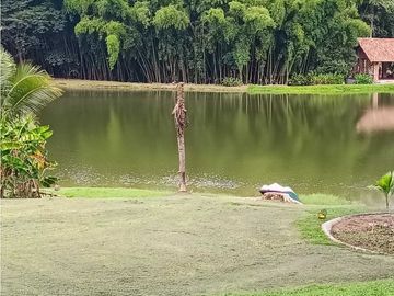 VENTA FINCA SIRIA, SUROESTE ANTIOQUEÑO